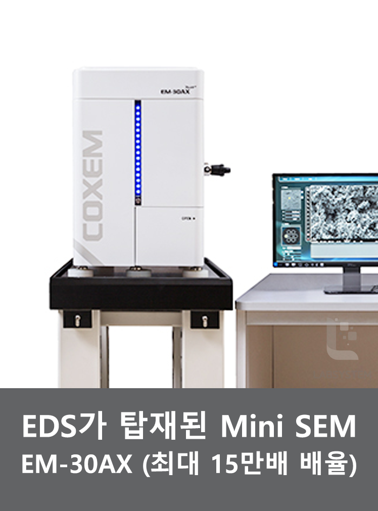 EDS가 탑재된 MiniSEM 주사전자현미경