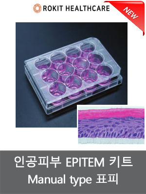 로킷 인공피부 EPITEM 킷트